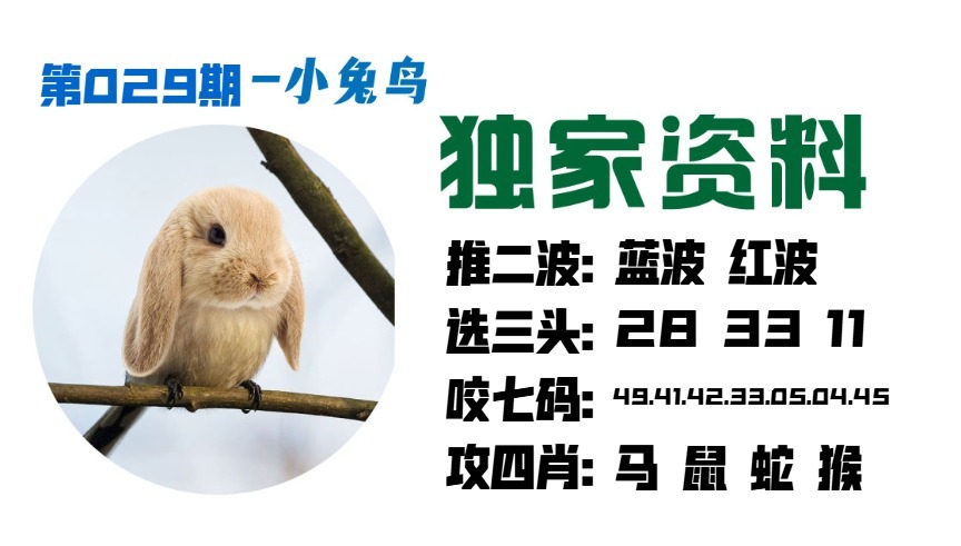 029期小兔鸟[图]